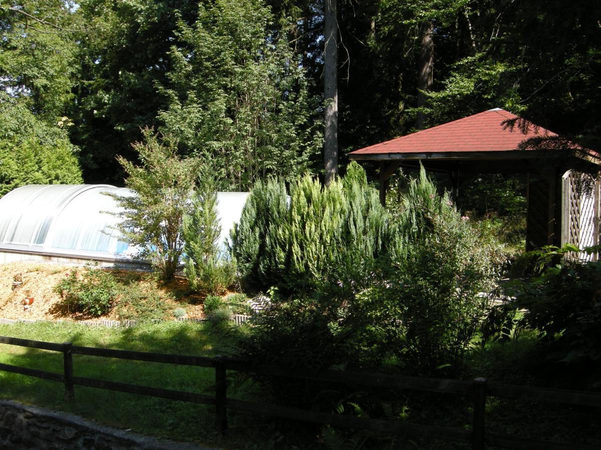 Villa Angelika Altenberg  Extérieur photo