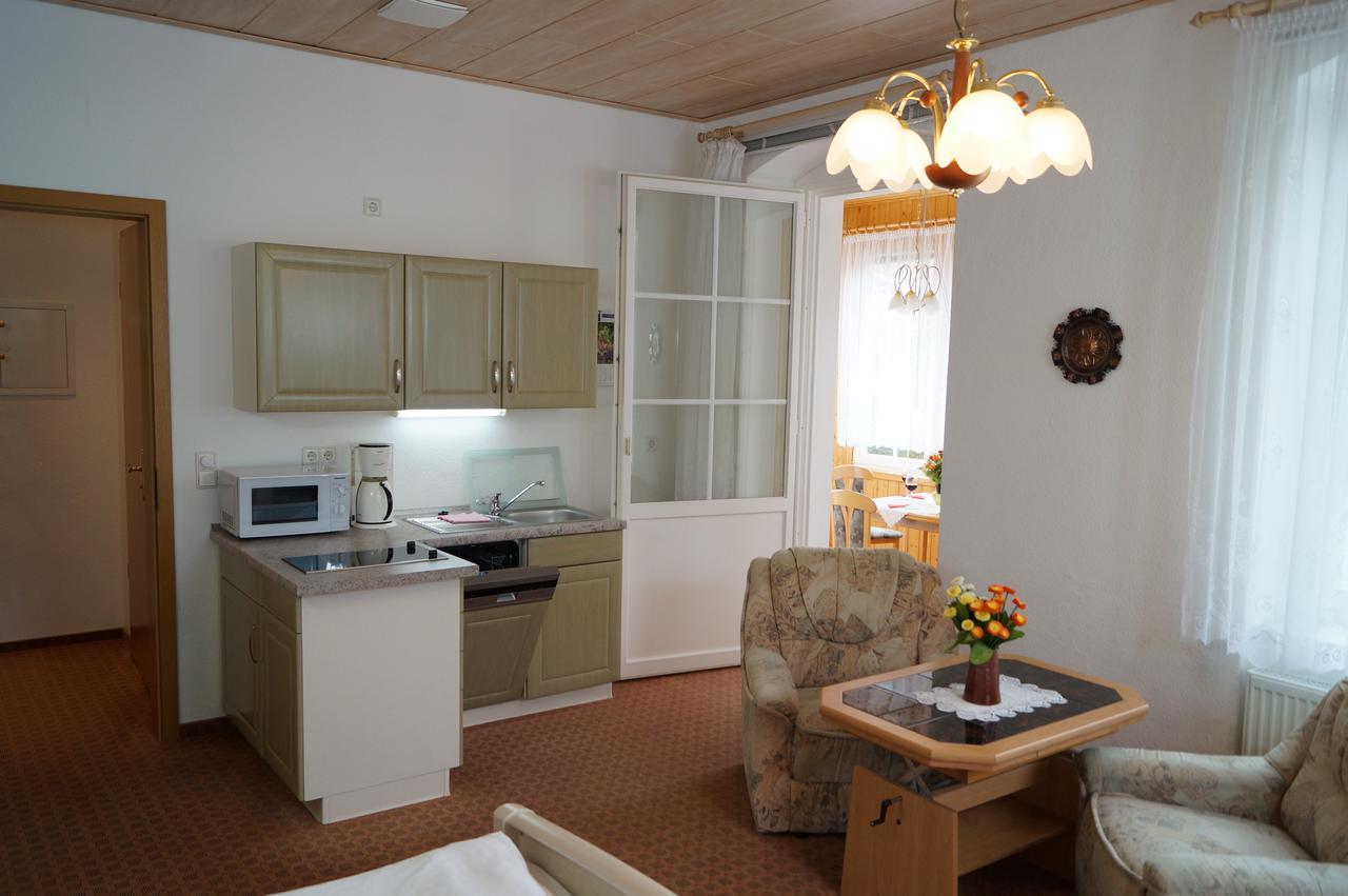 Villa Angelika Altenberg  Extérieur photo