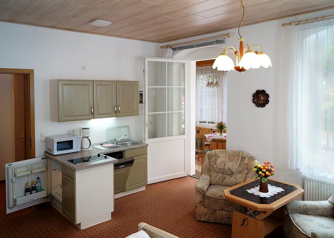 Villa Angelika Altenberg  Extérieur photo